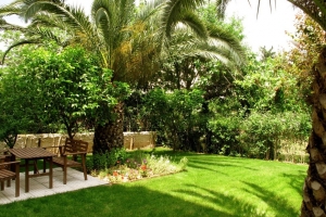 American Rest Home Κήπος